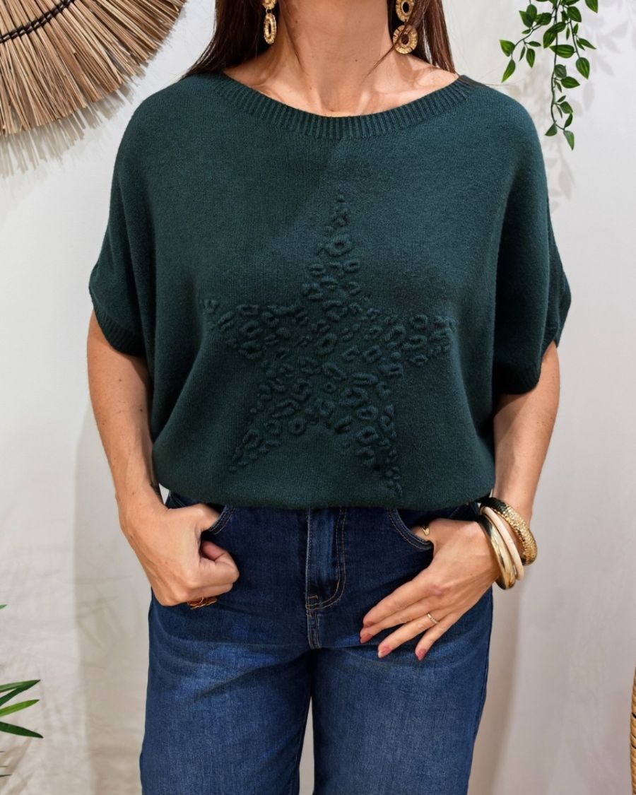 Pull femme col rond manches chauve souris étoile léopard