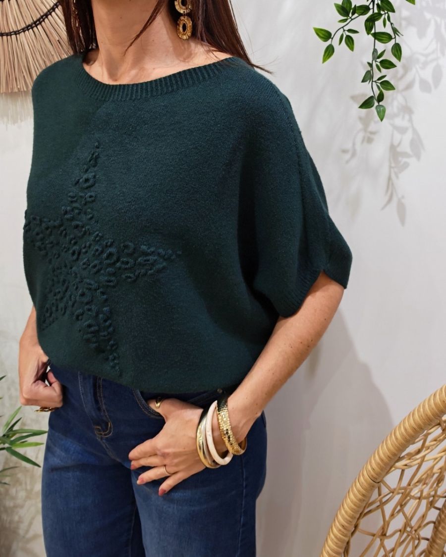 Pull femme col rond manches chauve souris étoile léopard