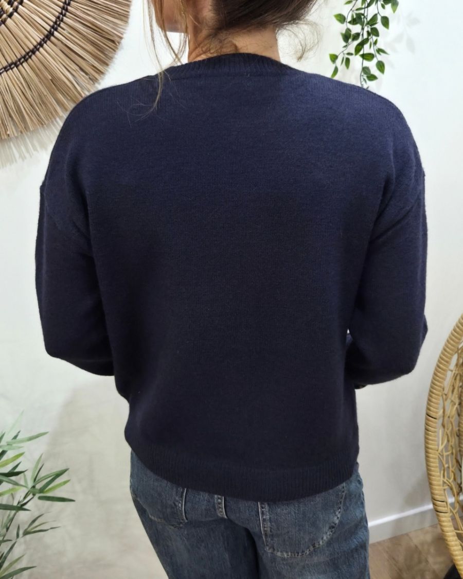 Pull femme bleu marine ICONIC club léopard et rose