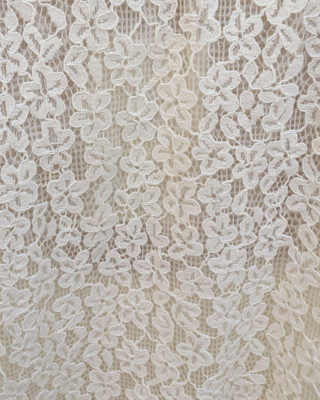 Bombers femme dentelle beige fleuri Isolda