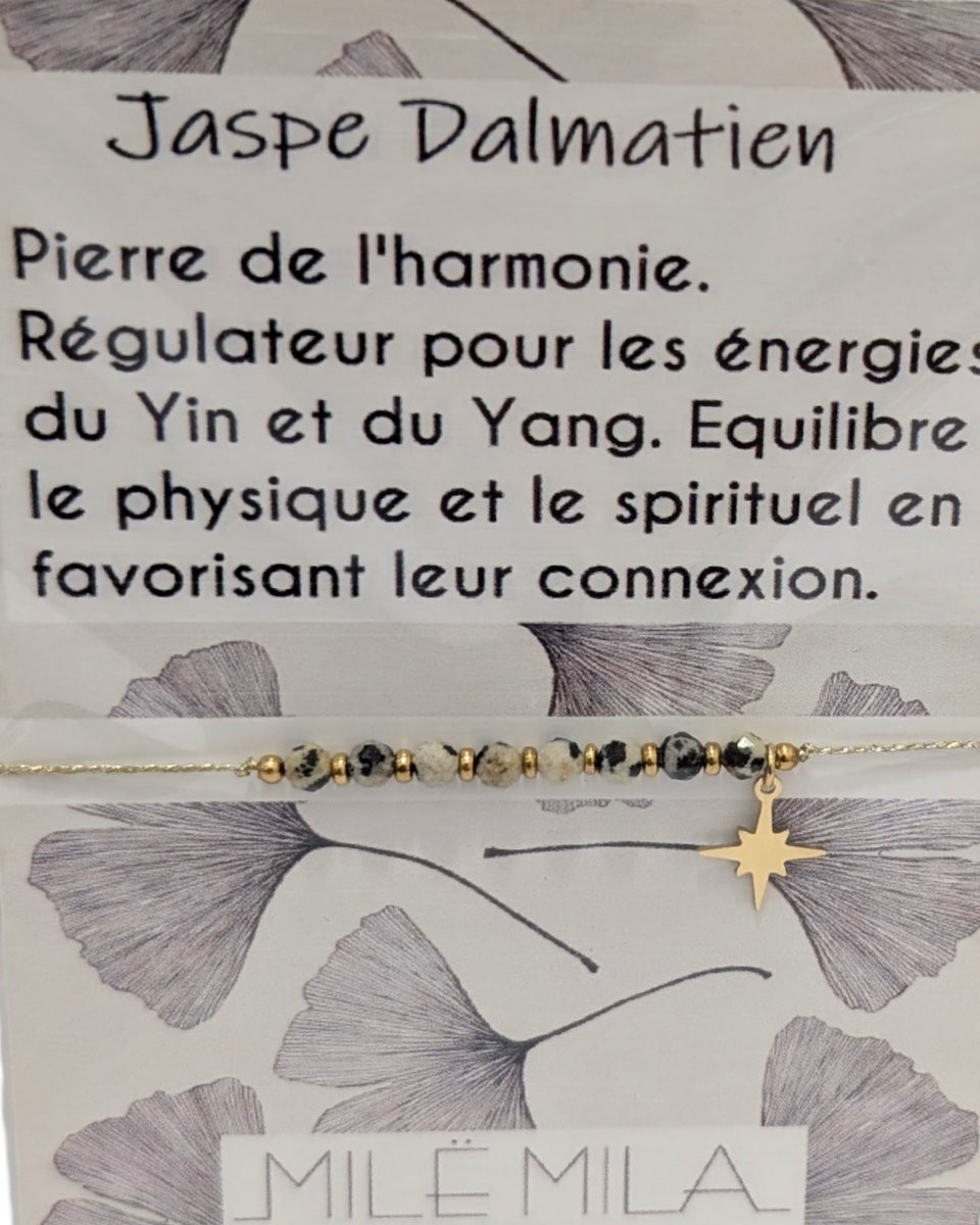 Bracelet Jaspe Dalmatien acier 
