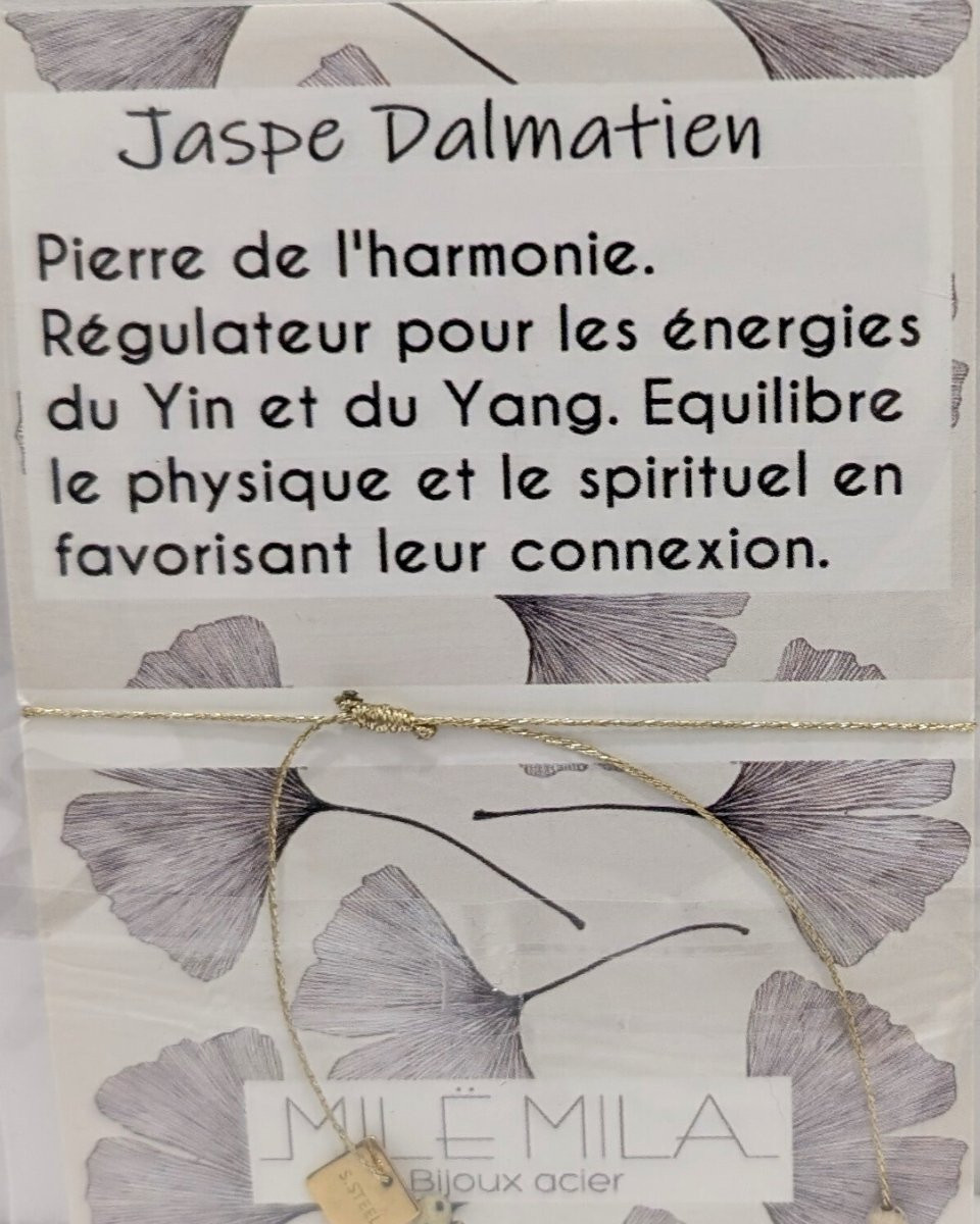 Bracelet Jaspe Dalmatien acier 