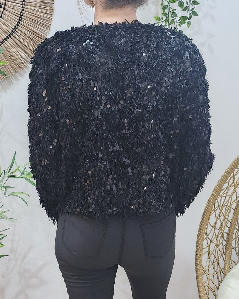 Pull femme noir effet plumes et sequins Violetta