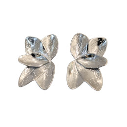 Boucles d'oreilles femme acier argent Ancolie