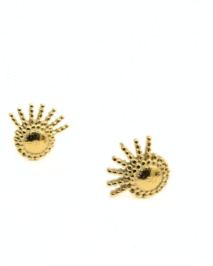 Boucles d'oreilles Acier rond avec 7 rayons-Or