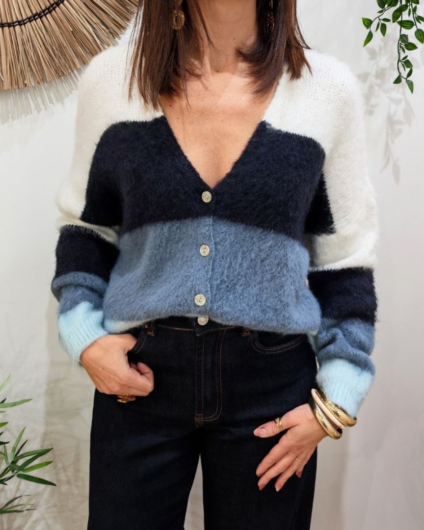 Gilet femme boutonné à rayures Eulalia-Bleu