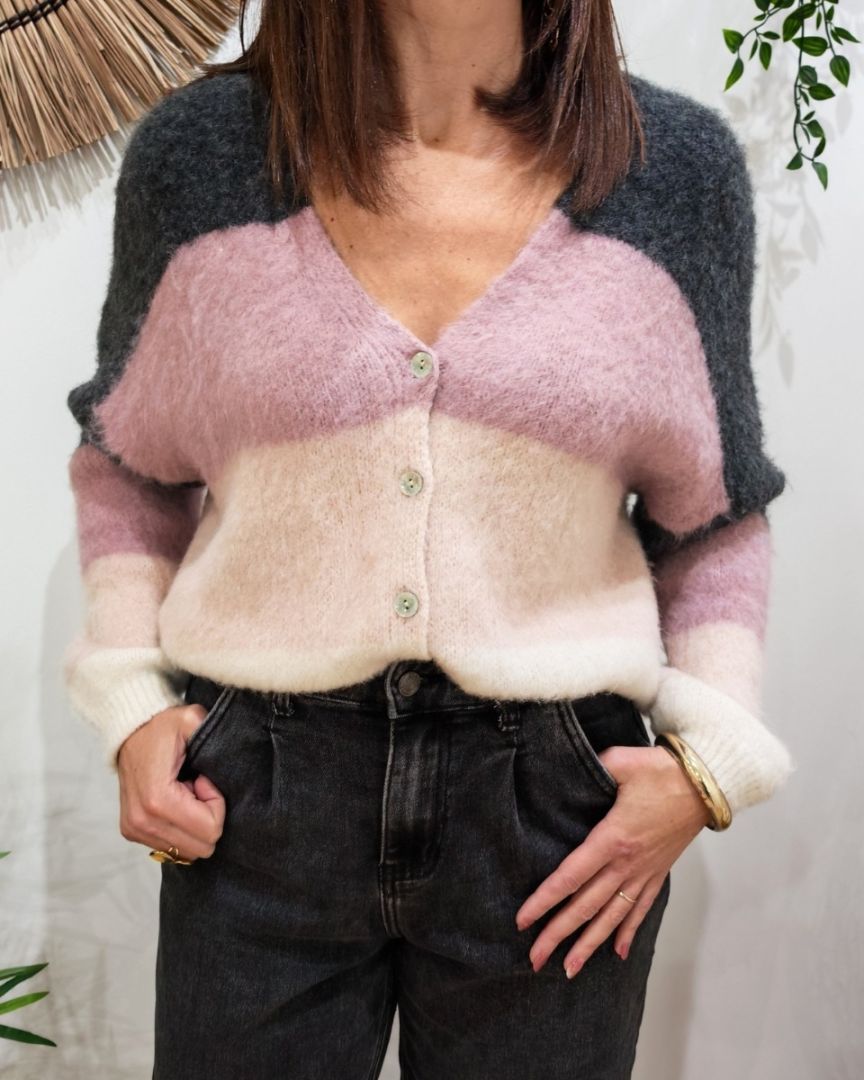 Gilet femme boutonné à rayures Eulalia-Rose